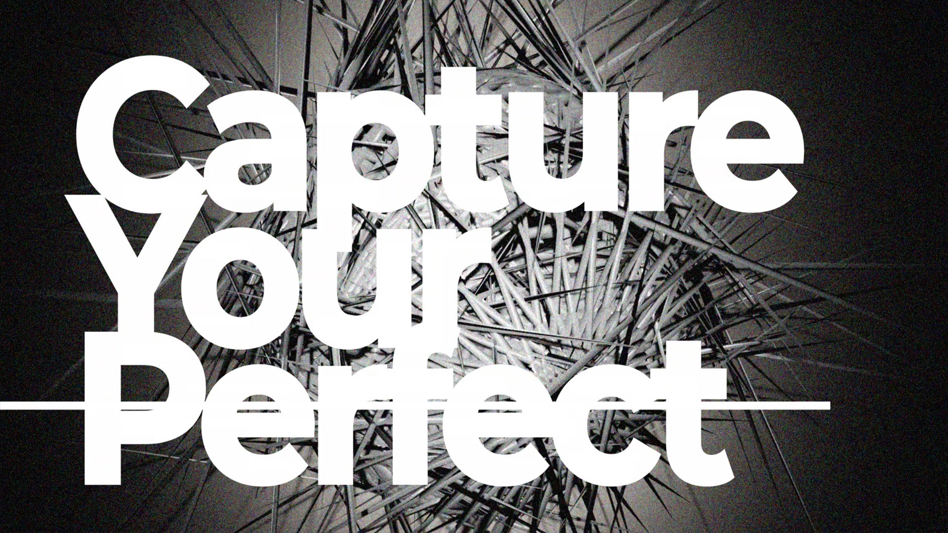 Capture Your Perfect.