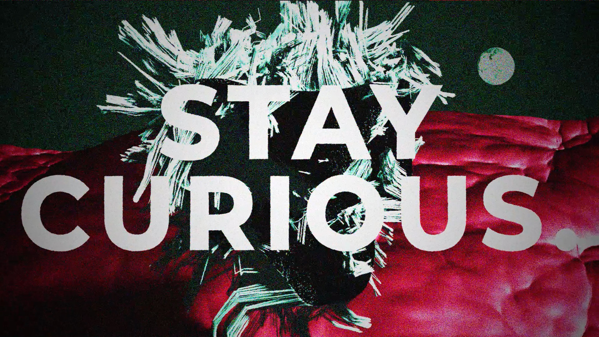 Salvage Your Perfect.
